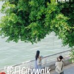 The Ultimate Guide to Enjoying a Slow-Paced Citywalk in Shekou, Shenzhen