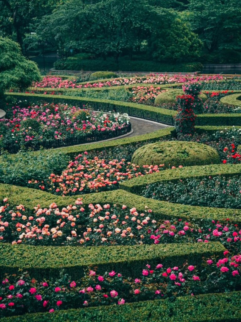 Shanghai’s Top 5 Stunning Flower Paradises to Explore This Early Summer