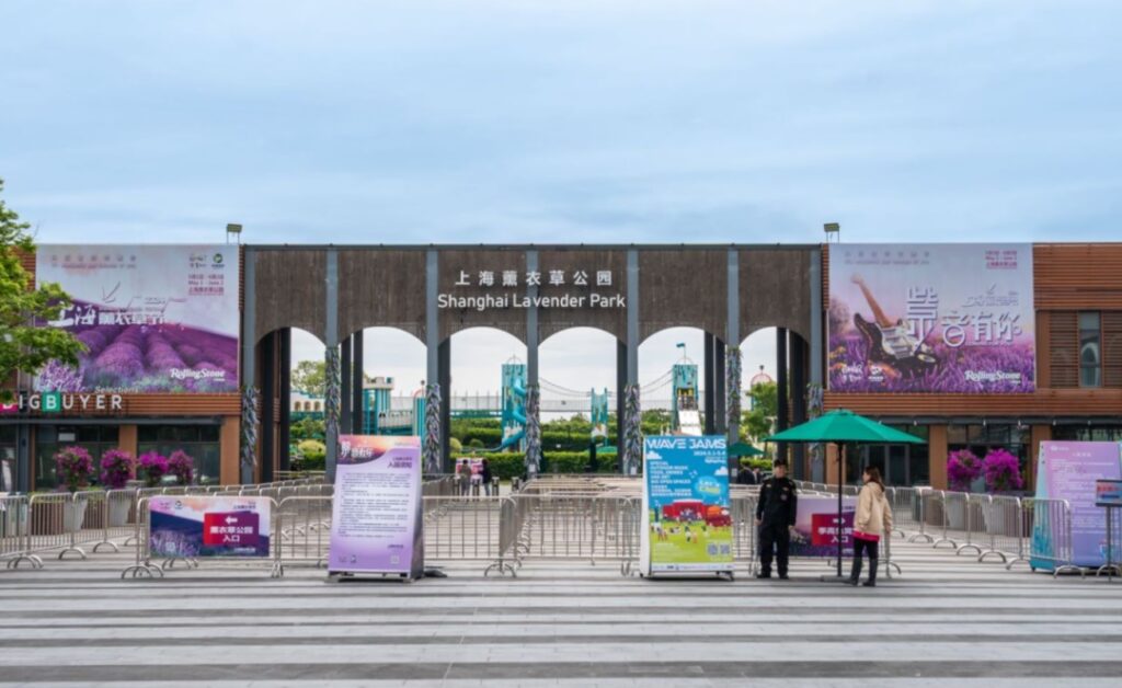 Shanghai Lavender Festival