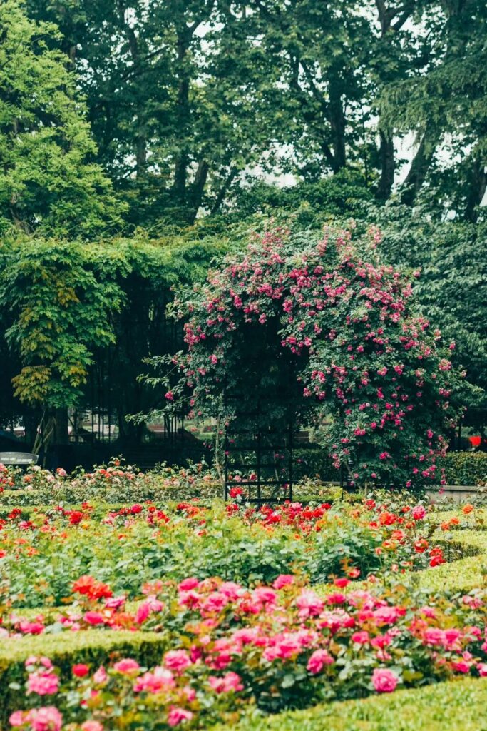 Shanghai Flower Paradises