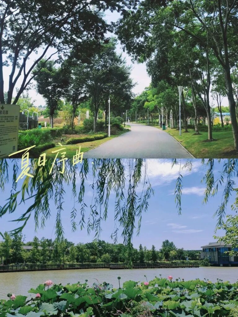 Shanghai Parks