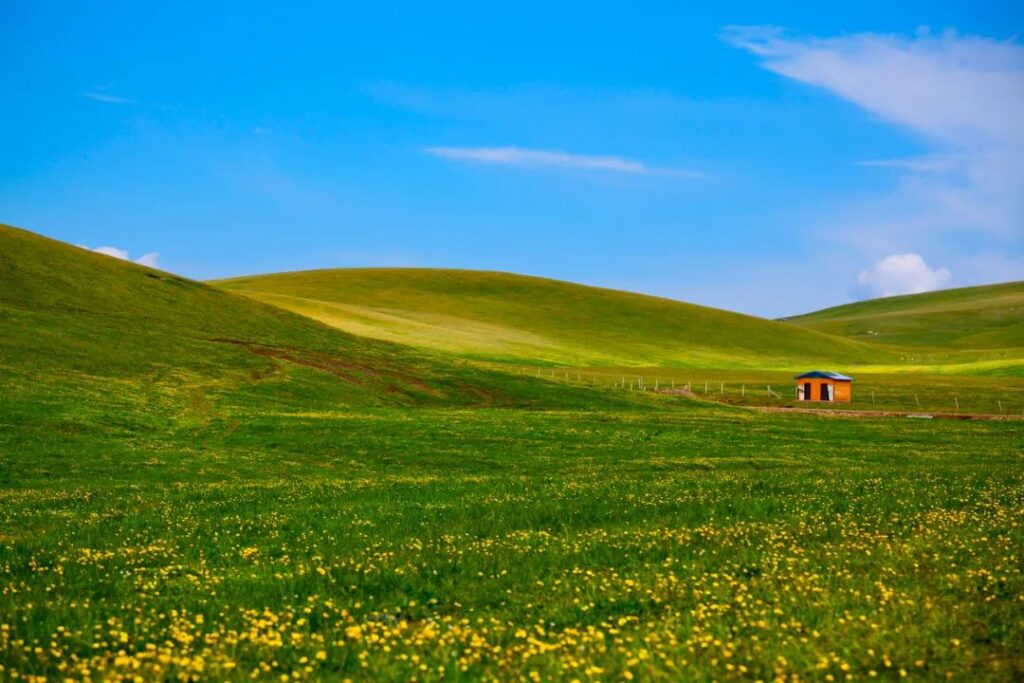 Ili, Xinjiang