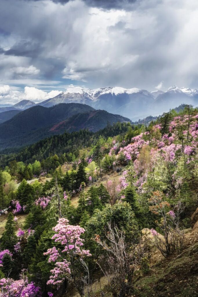 Bigu Tianchi Lake, Yunnan