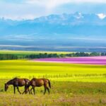 Unveiling the Hidden Gem of China: Discover the Breathtaking Beauty of Ili, Xinjiang