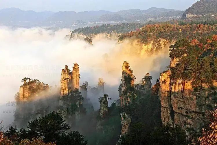 Zhangjiajie Travel Guide