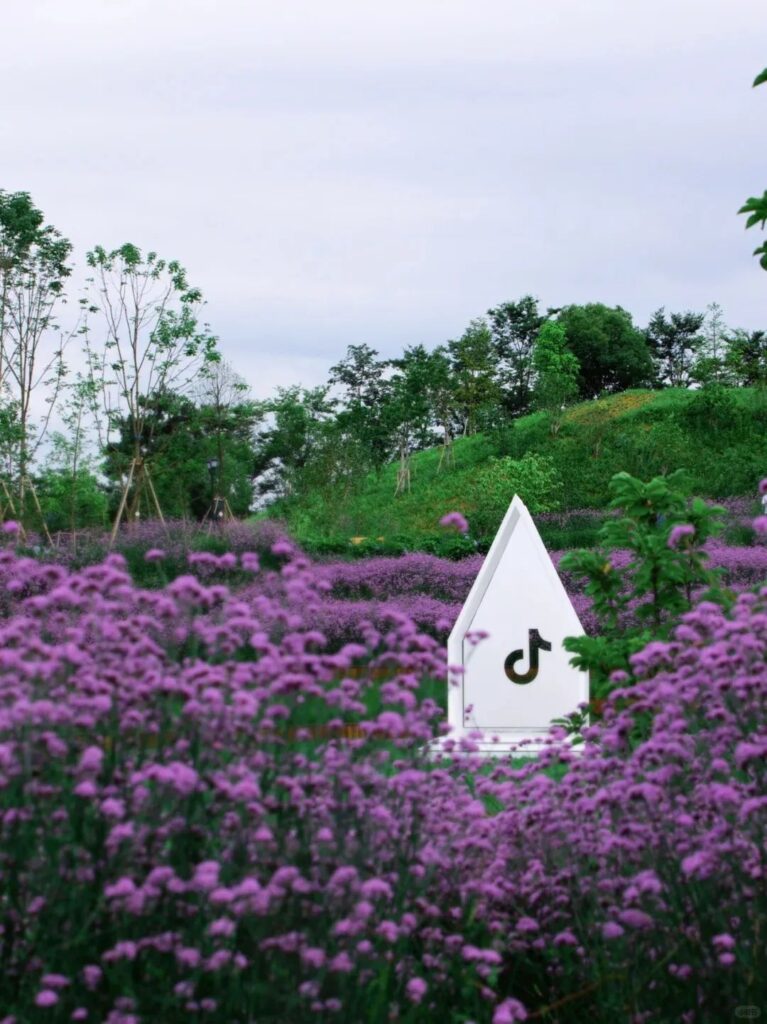 Hangzhou's Thousand Island Lake