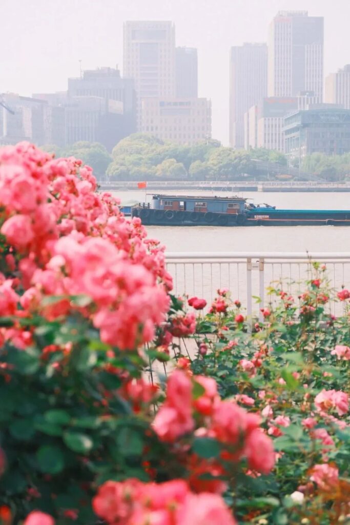 Shanghai Flower Paradises