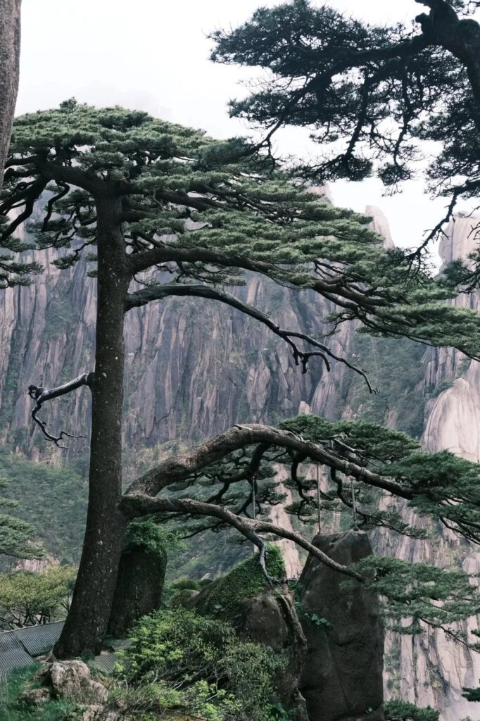 Huangshan Travel Guide