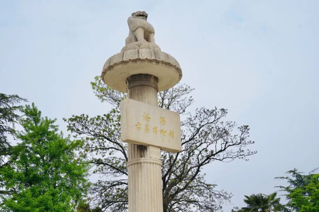 Luoyang Museums