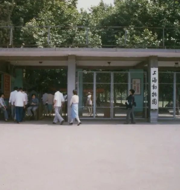 Xijiao Park Shanghai Zoo