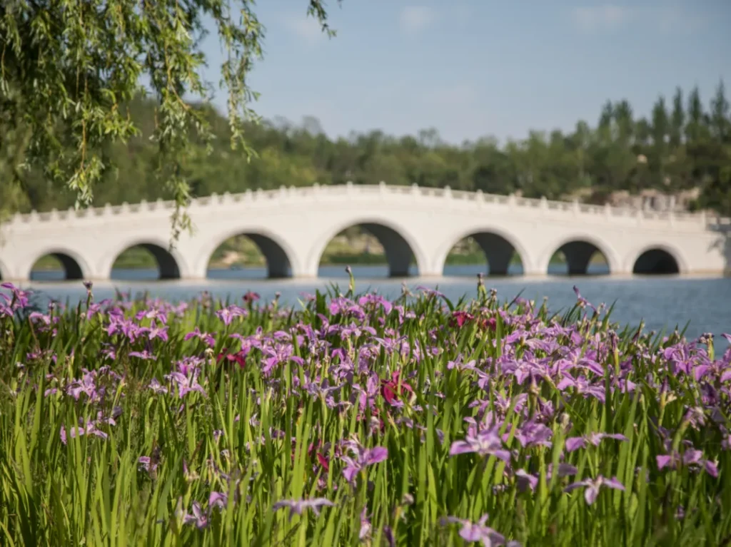 Unbelievable Sights Await at Shanghai Expo Culture Park: A Breathtaking Oasis in the Heart of the City!