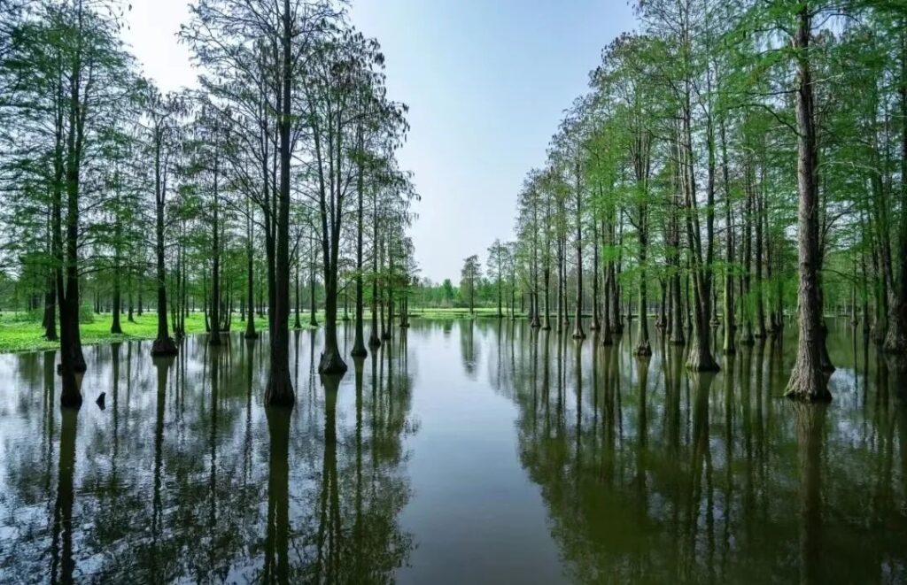 Shanghai Parks