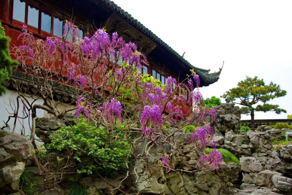 Yuyuan Garden