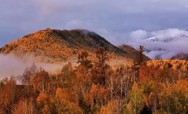 Tuwa Village Xinjiang China Autumn Paradise