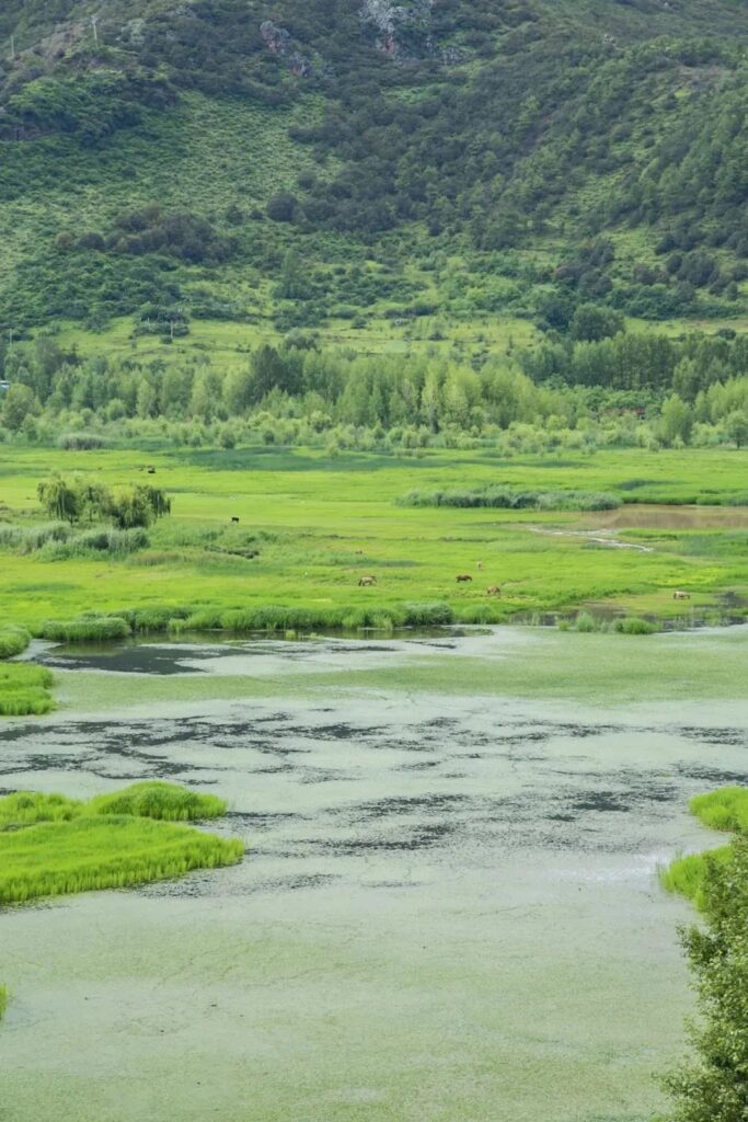 Lugu Lake