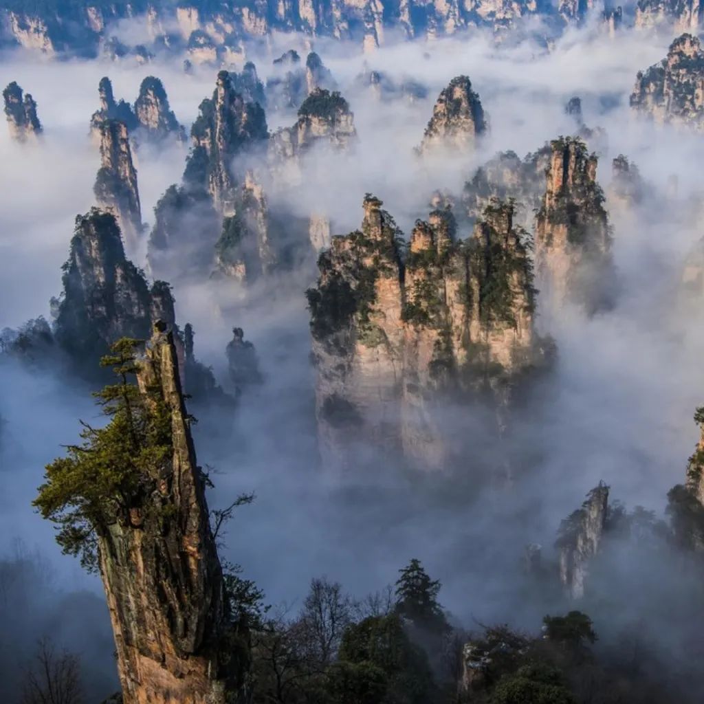 Zhangjiajie Travel