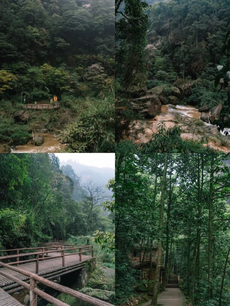 Guizhou Zunyi