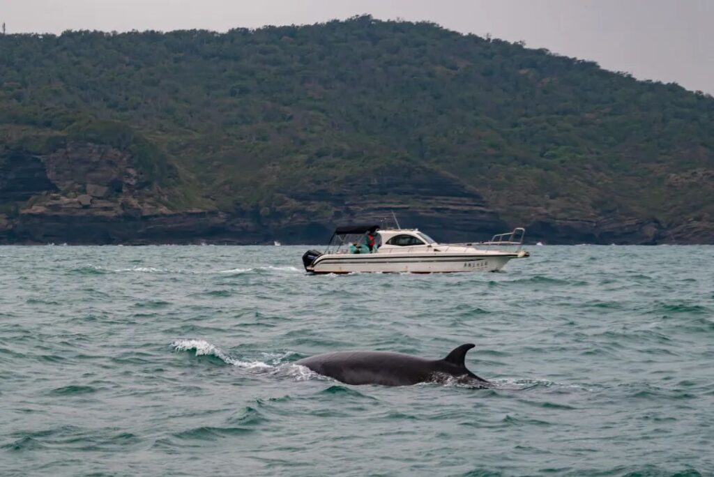 Guangxi Beihai Travel