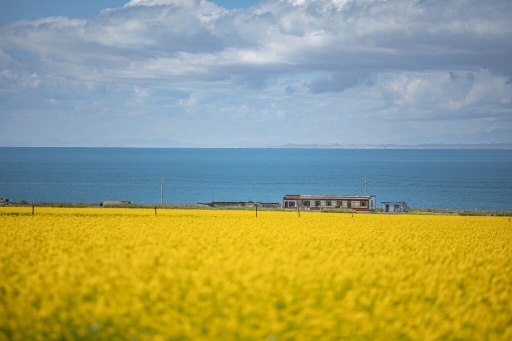 Qinghai Lake