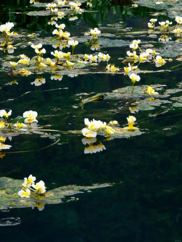 Hechi, Guangxi