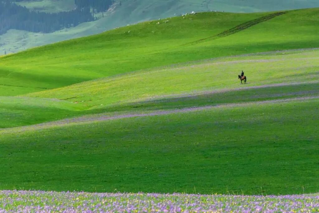 Nalati Grassland