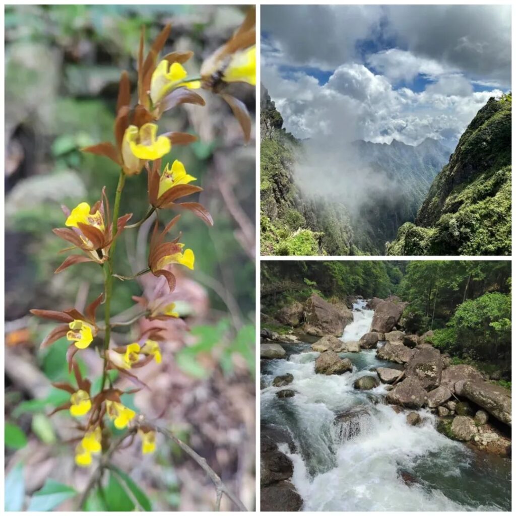 Shennongjia