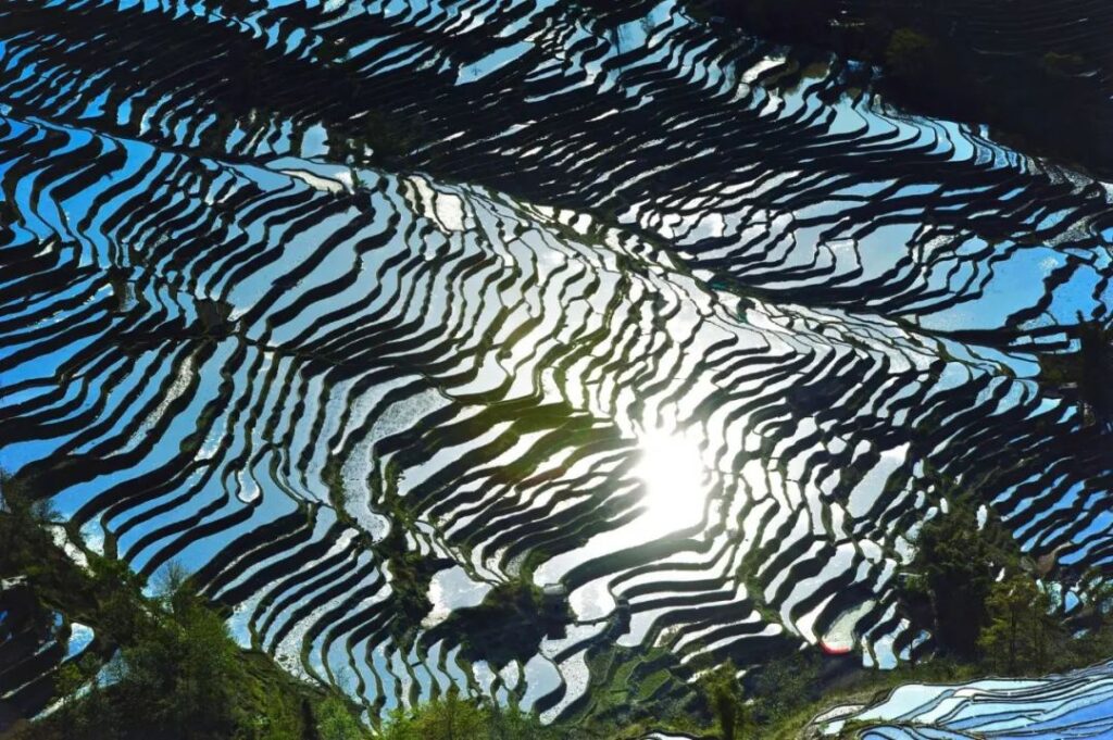 Yuanyang Rice Terraces