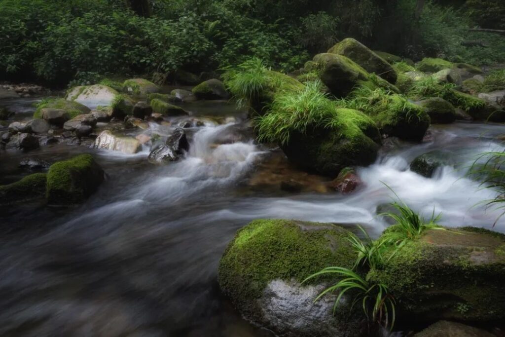 Zhangjiajie Golden Whip Stream