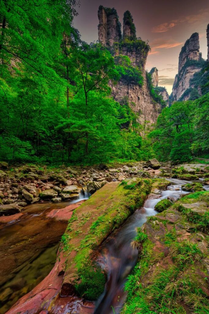 Zhangjiajie Golden Whip Stream