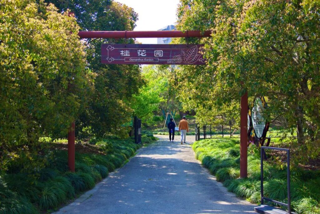 Shanghai Botanical Garden