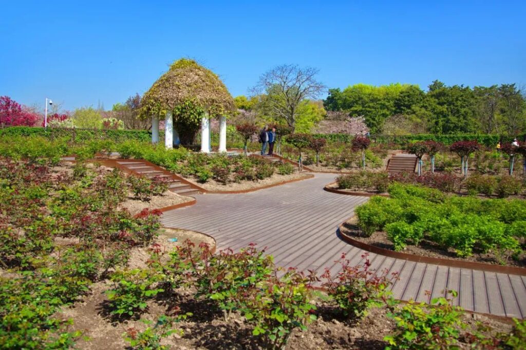 Shanghai Botanical Garden