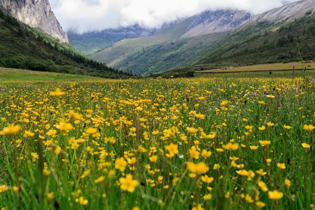 Daocheng Yading