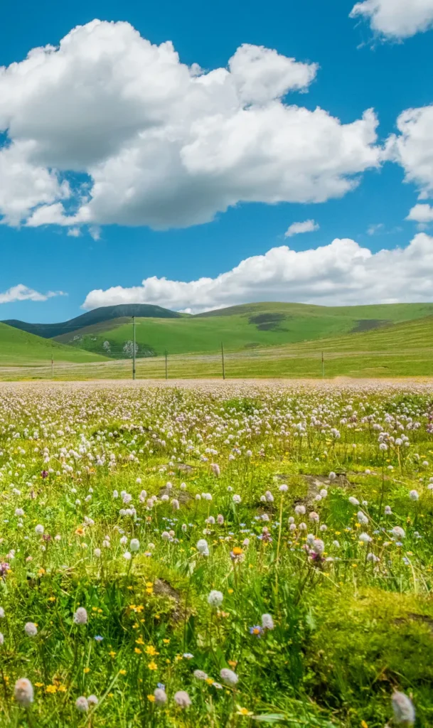 Western Sichuan