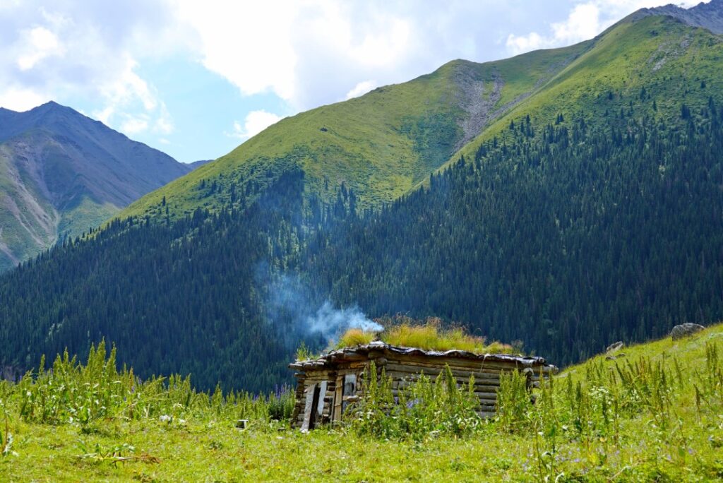 Xinjiang Zhaosu