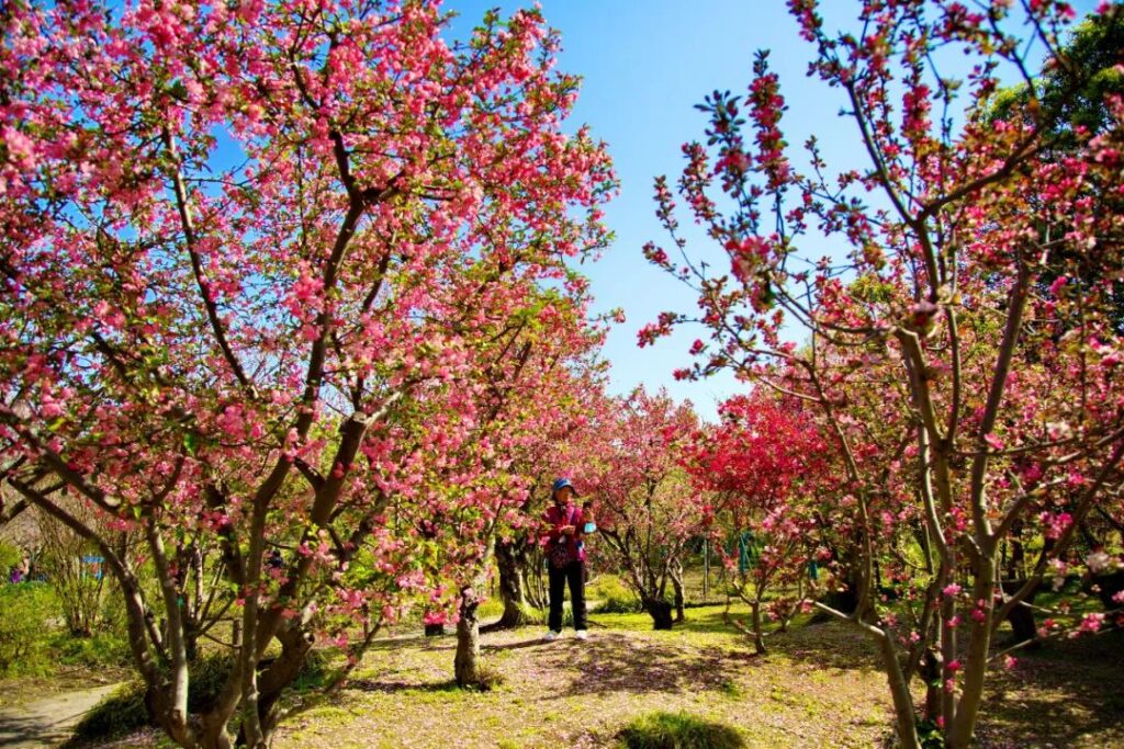 Shanghai Botanical Garden