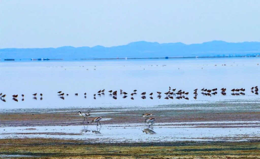 Eastern Xinjiang