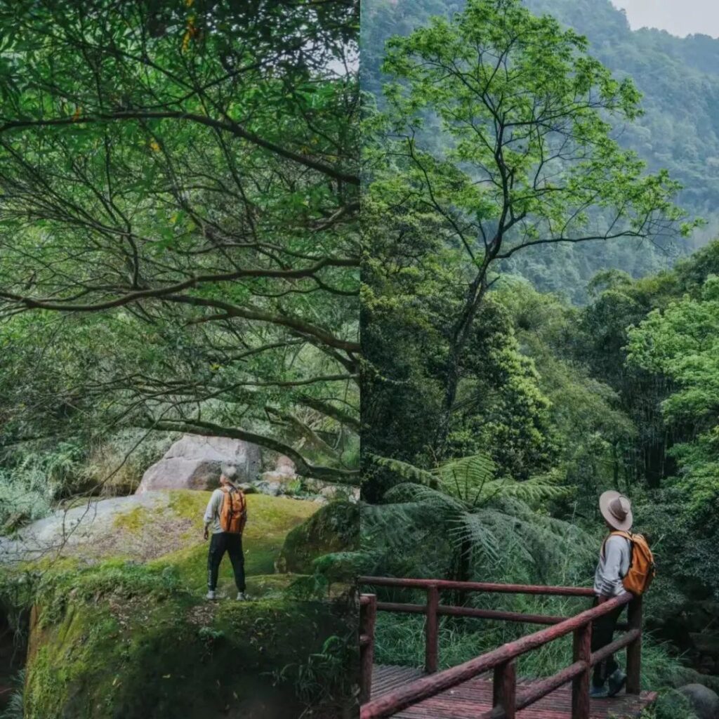 Guizhou Zunyi