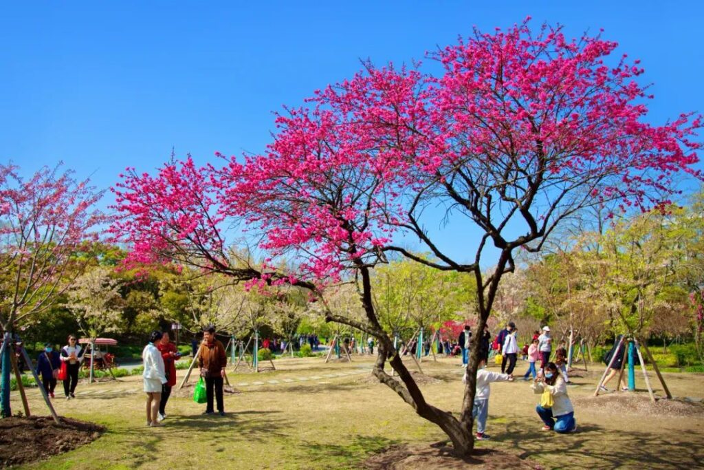 Shanghai Botanical Garden