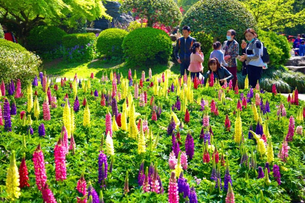 Shanghai Botanical Garden