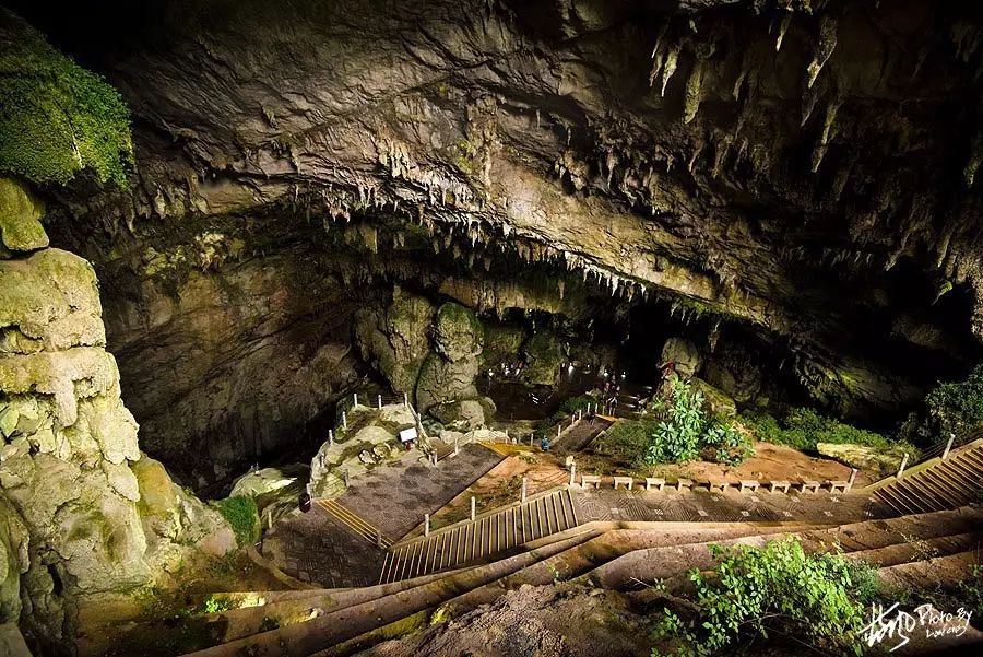 Zhijin Cave  China's Six Most Beautiful Tourist Caves