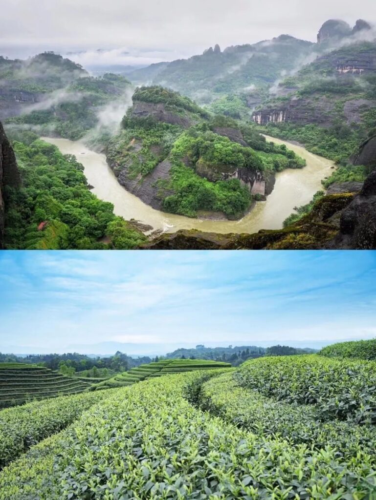 Wuyishan