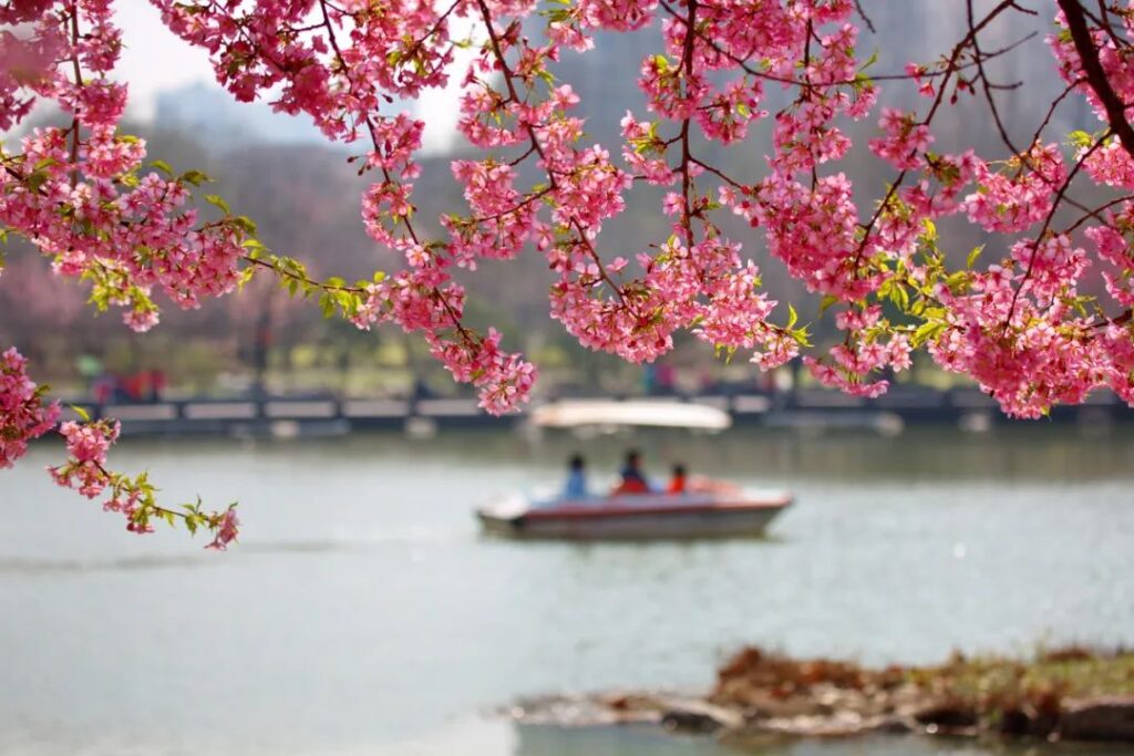 Shanghai Botanical Garden