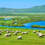 Discover the Untouched Beauty of Inner Mongolia: Your Ultimate Guide to a Perfect Summer Getaway on the Grasslands!