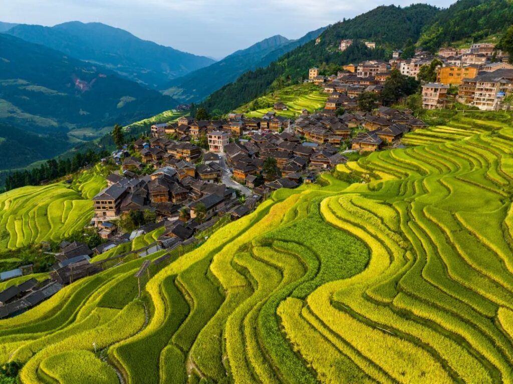 Guizhou Travel