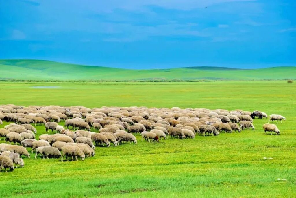 Beauty of Inner Mongolia