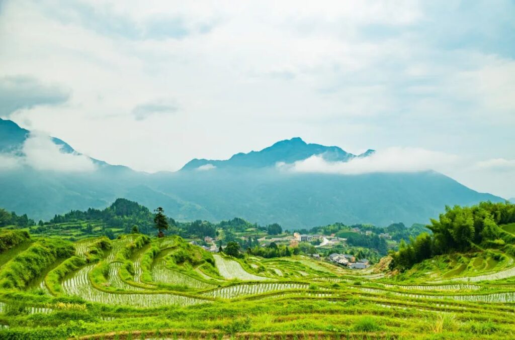 Lishui Xiandu