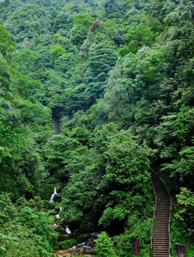 Mount Emei