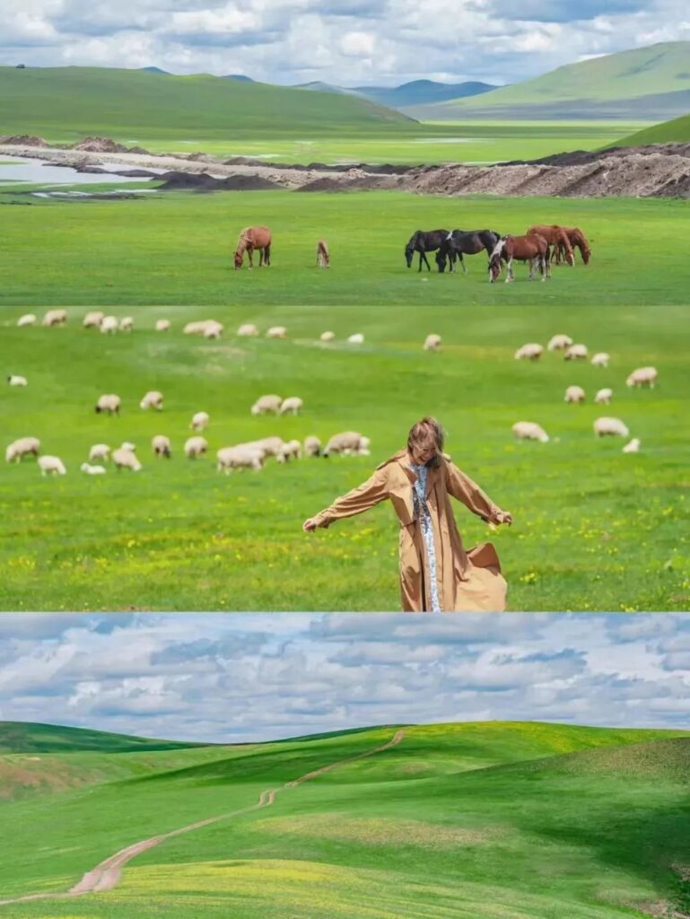 Beauty of Inner Mongolia