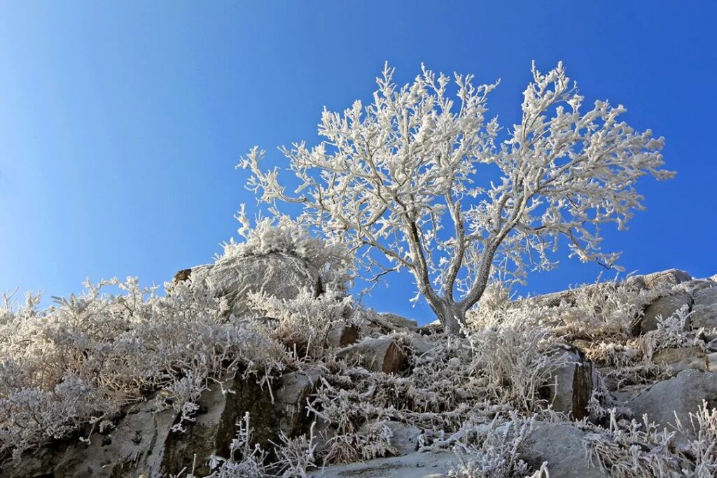 Mount Tai