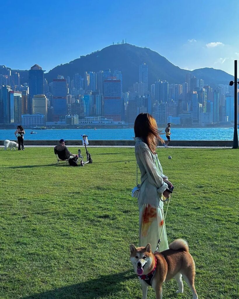 West Kowloon Art Park